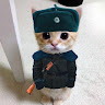 HawkAn