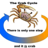 CrabCycle