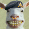 Aitthiphat Jitburut