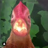 ifeelsosigmaandawhhhhhhh