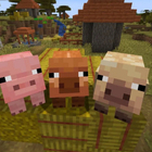 pig