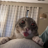 MeekMillLover123