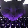 artem_343228