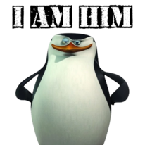 Skipper