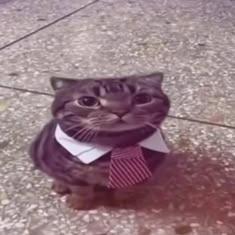 mr. Noting