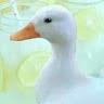 john_r