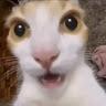 xazds