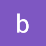 bothost161