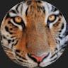 Saye_ade kucing_5ekor