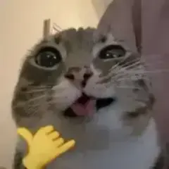 valkzy