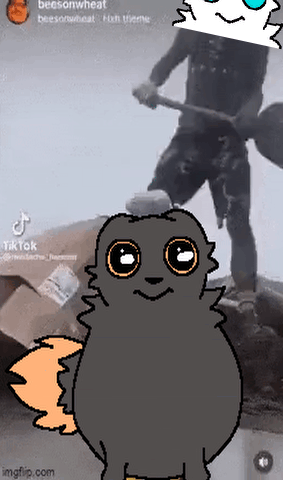 ezgif-7f5bc1b0dbc82a26.gif