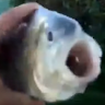 underwater