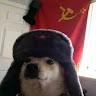 Dogeeyish