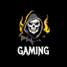 The Gamer The Gamer