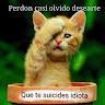 letcclarper67