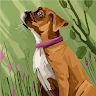 Laquan Tucker