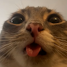 dofi ngus