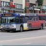 Edmonton Bus